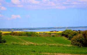 a field of green grass with a lake in the background at Thy Glamping in Hurup +2 photos