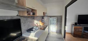 a kitchen with a sink and a refrigerator at Malo misto in Kovačić +7 photos