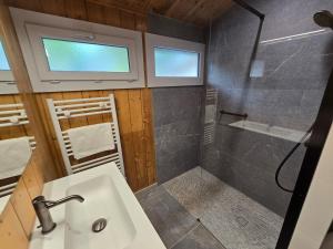 a bathroom with a sink and a shower at Les Reflets Bleus in Maisod +13 photos