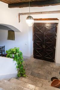 a plant in front of a door in a room at Palazzo Menghina in Casaletto Spartano