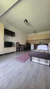 a large bedroom with a bed and a table at Salt Holiday in Praid