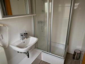 a bathroom with a sink and a shower at Frankenstube in Eichelsdorf +15 photos