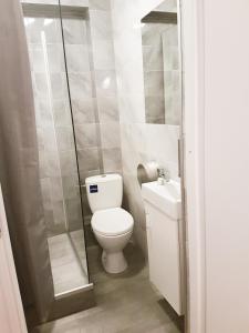 a small bathroom with a toilet and a shower at KWATERY KALINA-DUSZKA HOSTEL in Płock