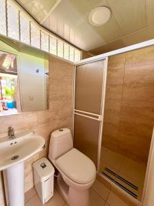 a bathroom with a toilet and a sink and a shower at Chalet Natalia Montenegro Quindío in Montenegro