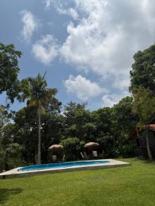 a swimming pool with two chairs and a palm tree at Villa Olaya Completo in Xilitla