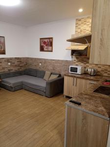a living room with a couch in the middle of a kitchen at Euro Apartman in Debrecen