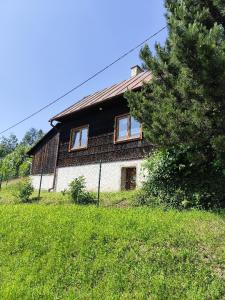 a house on a hill with a tree in front of it at Chalupa Meduňka in Vsetín