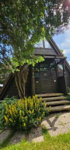 a house with some yellow flowers in front of it at A-Frame am Ochsenkopf in Mehlmeisel