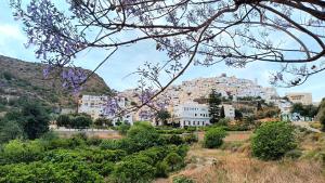 a town on a hill with buildings at Casa María in Mojácar