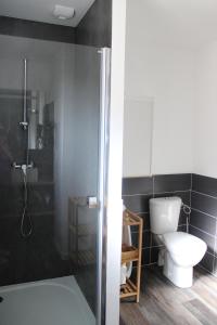 a bathroom with a toilet and a shower at O Ptit home in Saint-Vincent-sur-Jard