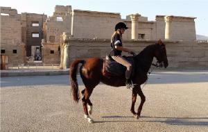 a woman riding a horse in front of a building at New Radwan Hotel, Luxor railways in Luxor
