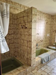 a bathroom with a green tub and a toilet at Glicine in Carlazzo