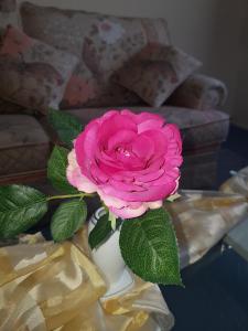 a pink rose in a white vase on a table at Hotel Stadt Baunatal in Baunatal