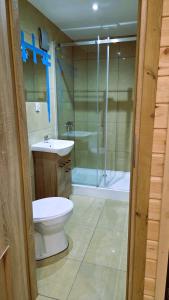 a bathroom with a toilet and a sink and a shower at SeaPort Resort in Łeba +84 photos