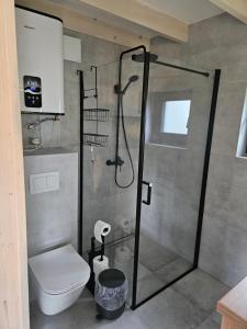 a bathroom with a shower and a toilet at Domki Łomnicka Ostoja in Łomnica +100 photos