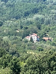 a house on the side of a hill with trees at Jagoda IN in Otroci