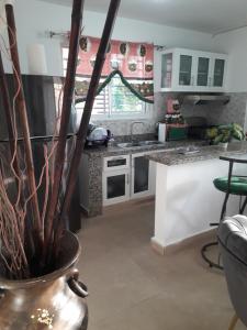 a kitchen with a plant in a vase at SDQ Apartamento in Los Tres Ojos de Agua