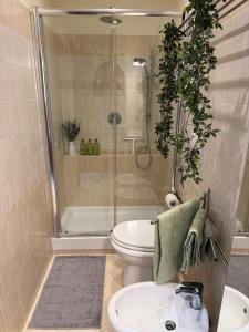 a bathroom with a shower and a toilet and a sink at Dimora Charme in Monterotondo +16 photos