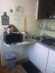 a kitchen with a counter with a microwave and a sink at Tour Rose in Frangy