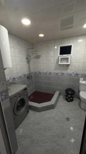 a bathroom with a washing machine and a toilet at Guest House Nino in Mestia +17 photos