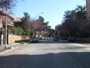 The surrounding neighborhood or a neighborhood close to a panziókat