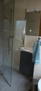 a bathroom with a glass shower and a sink at Haus Rothenberg - Wohnung Anne in Nohfelden