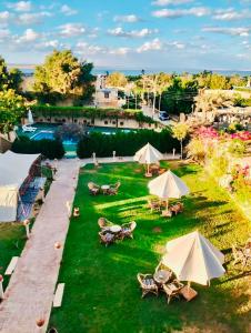 an overhead view of a lawn with tables and umbrellas at Sun Lake Hotel in Tunis