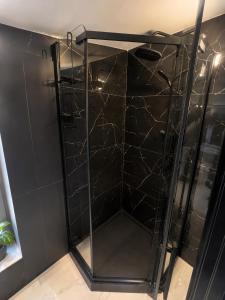 a shower with a glass door in a bathroom at Apartament NOVA in Nowa Ruda