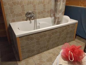 a bathroom with a bath tub and a sink at Le Mont Rochard in Sainte-Gemmes-le-Robert +18 photos