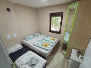 a small room with two beds and a mirror at DVOR seosko turisticko domacinstvo in Donja Toponica +37 photos