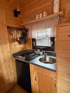 a kitchen with a sink in a wooden cabin at Chalet Josef in Braunsbedra