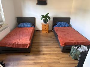 zwei Betten in einem kleinen Zimmer mit einer Pflanze in der Unterkunft Schmidt Pension in Karstädt