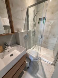 a bathroom with a shower and a toilet and a sink at Premium in Negotin