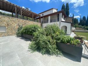 a house with bushes in front of a building at Entire house for couple with exclusive pool in Monsanto