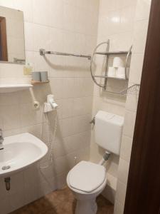 a small bathroom with a toilet and a sink at Gutsweinschänke & Pension Müllers in Kröv