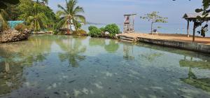 a large body of water with palm trees in it at Carib Ochi Rios condominium in Ocho Rios
