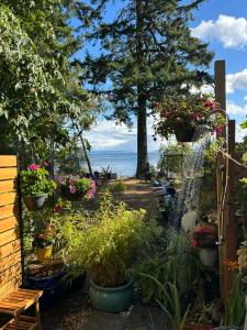 a garden with potted plants and a view of the ocean at Sea 'N' Stars BNB in Gabriola