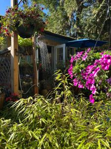 a garden with pink flowers in a yard at Sea 'N' Stars BNB in Gabriola