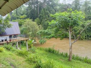 a house with a deck next to a river at Rainforest River Cabana & Villa in Deniyaya