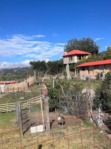 a bird standing in a fence in a field at Refugio del venado familiar in Cotacachi +3 photos