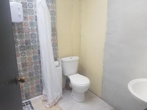 a white bathroom with a toilet and a sink at Tiny living on the Wild Atlantic Way in Tralee