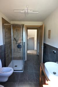 a bathroom with a shower and a toilet and a sink at Chalet du Sky PILA in Cerise