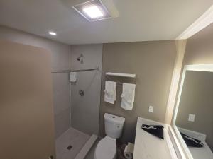 a bathroom with a shower and a toilet and a mirror at Red Roof Inn Sutton in Sutton +21 photos