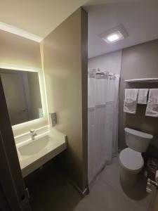 a bathroom with a toilet and a sink and a mirror at Red Roof Inn Sutton in Sutton