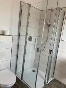 a shower stall with a toilet in a bathroom at Ferienhaus Louis Philippe in Altlay +4 photos