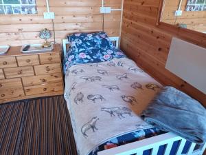 a bed in a room with a desk and a sink at Moonlight View in Newtown
