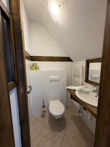 a bathroom with a toilet and a sink at Penzión SIMI in Tatranská Lomnica