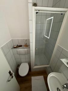 a bathroom with a shower and a toilet and a sink at Jade Villa an der Nordsee in Jaderaltendeich