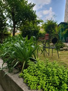 a garden with a table and chairs and plants at La Casetta in Genoa