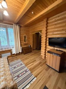 a living room with wooden walls and a flat screen tv at Дикий Кіт in Vorokhta +21 photos